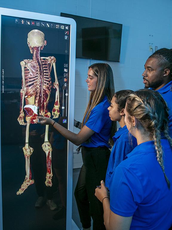 Movement Sciences students use the Anatomage virtual cadaver tables during a class at the Usha Kundu, MD College of Health.