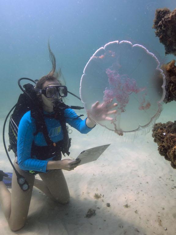 a student in scuba gear studying a jelly fish underwater